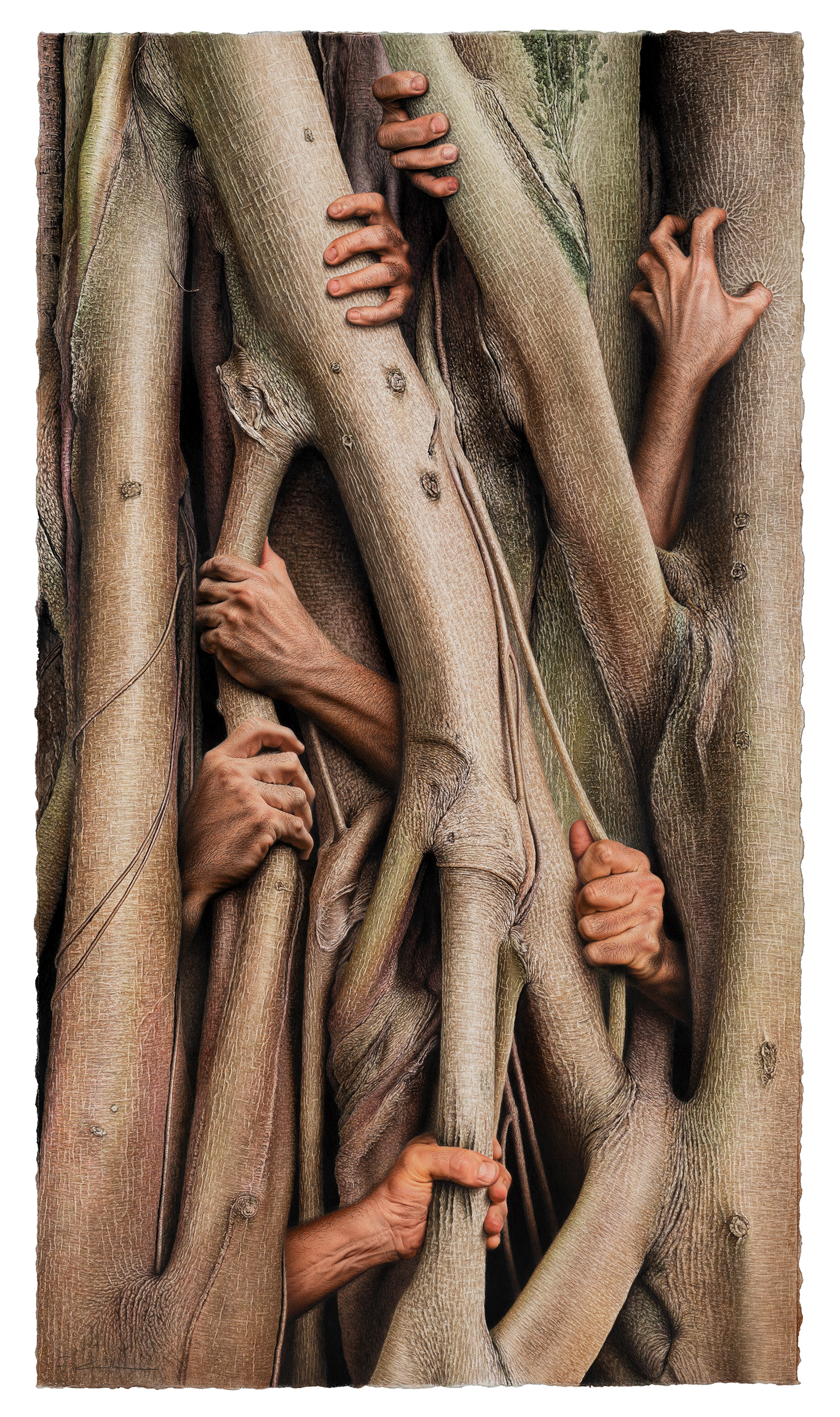 Anthropos Parasitus (en la era del Antropoceno)